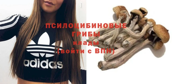МДПВ Новодвинск
