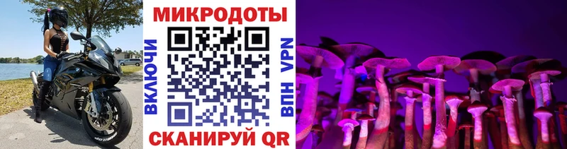 Галлюциногенные грибы Magic Shrooms  дарк нет формула  Валдай  где продают  
